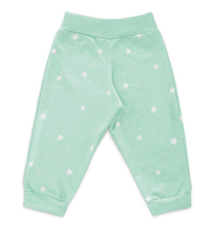 Conjunto Moletom + Calça Lobinho Verde - Mini Boo Store